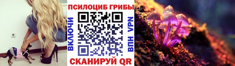 Галлюциногенные грибы Cubensis  Чадан 